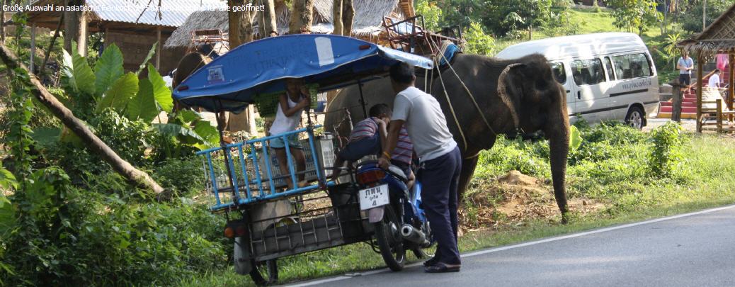 Thai Getränke